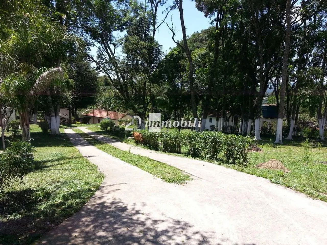 Chácara à venda em Cotia, Santana, com 4 quartos, com 12833 m² - Foto 3