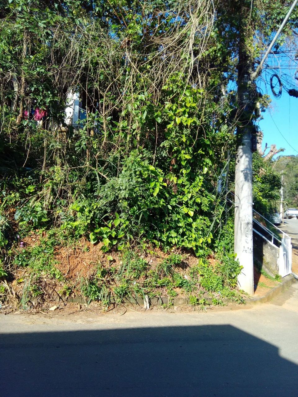 Foto - São Gonçalo - Gradim