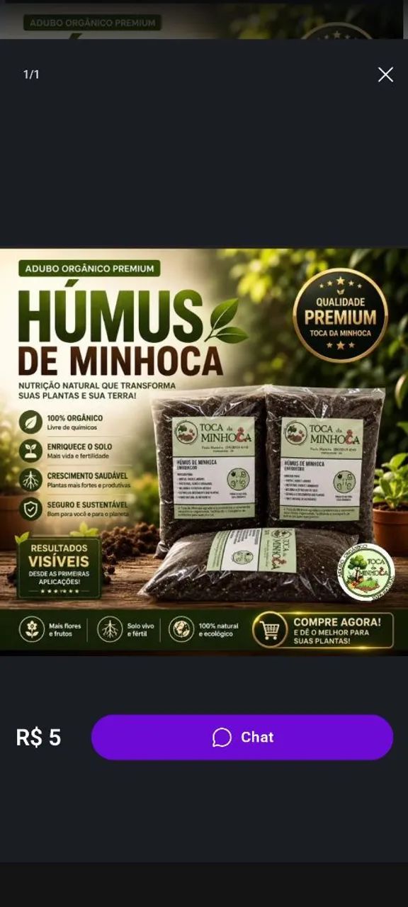 Húmus 