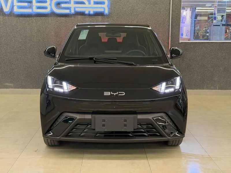 BYD Dolphin GS (Elétrico) 2027 - Foto 2