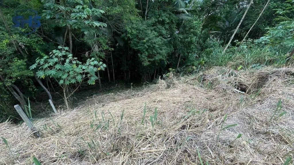 TERRENO NO JARDIM BLUMENAU - Foto 5