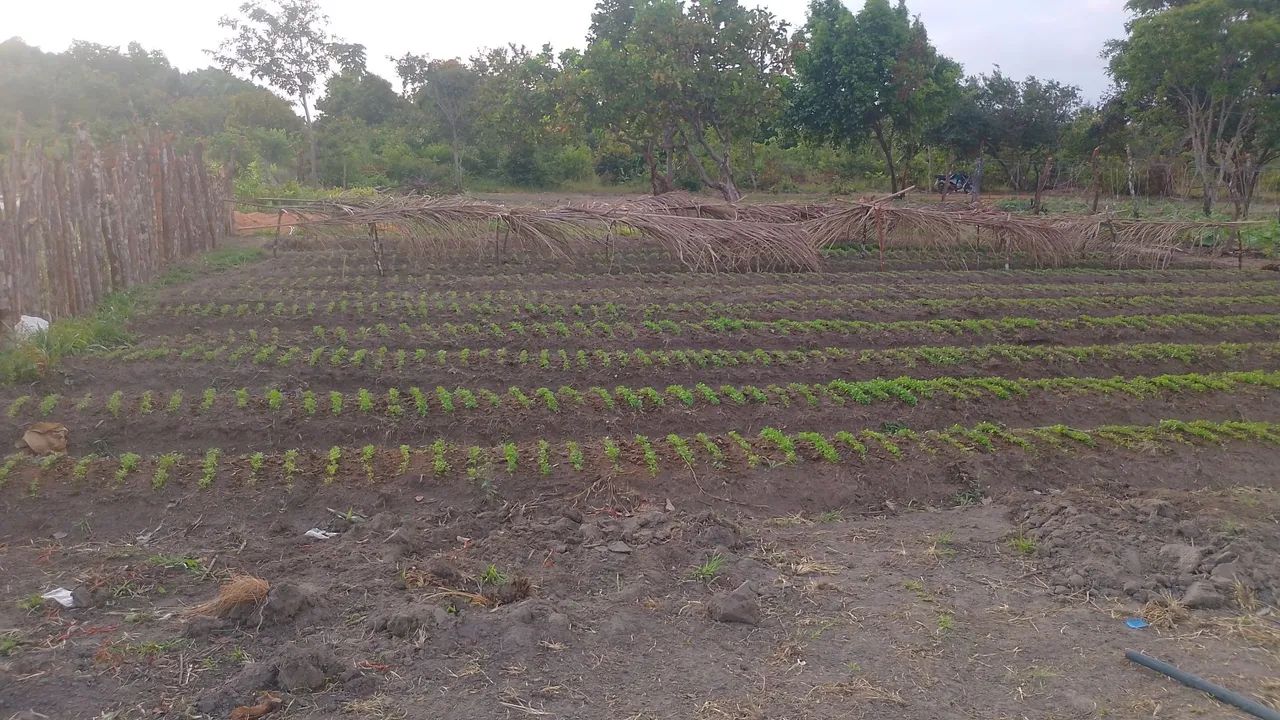 60 mil terreno top - Foto 4