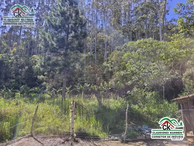 Sítio com 13 hectares e casa em Águas Mornas - Foto 5