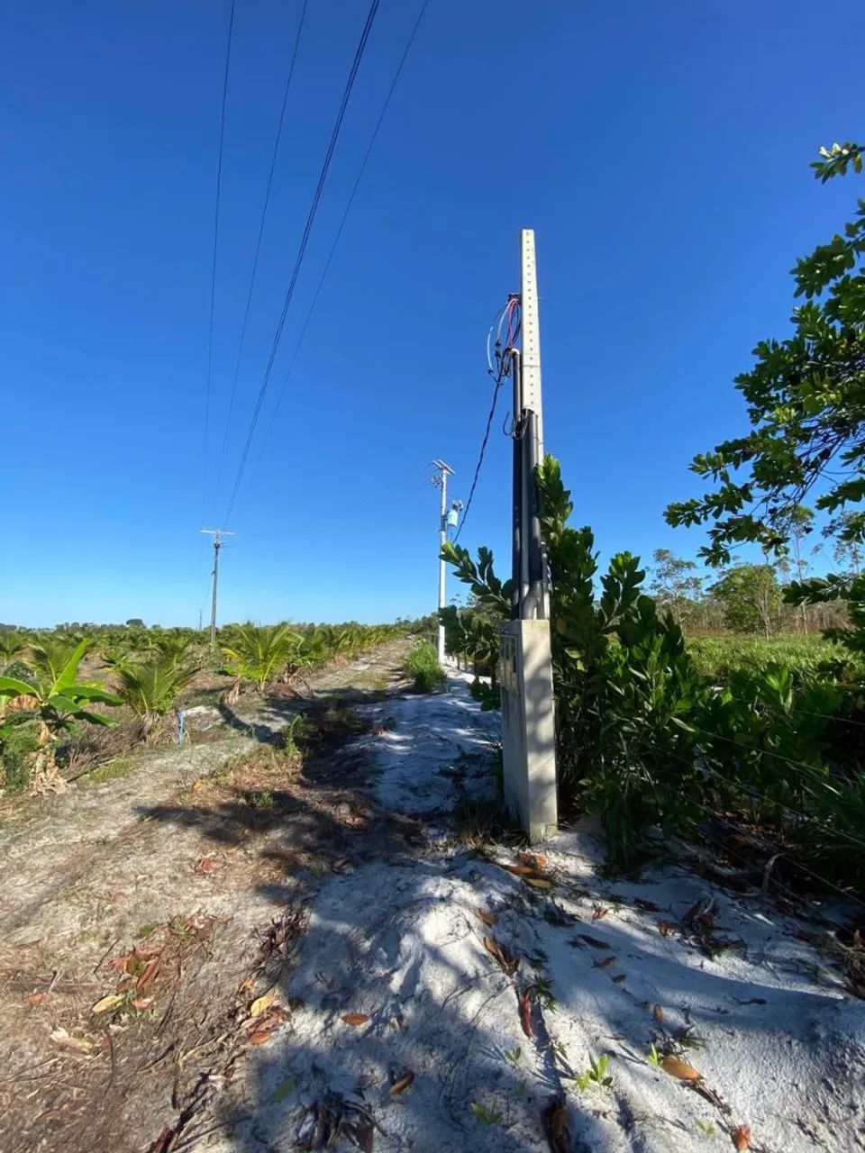 12 hectares em Jaguaré es  - Foto 3
