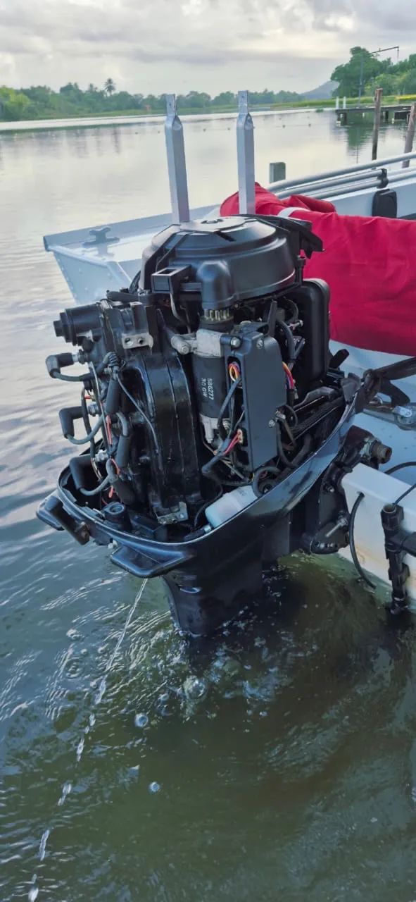 Motor evinrude 35hp Seminovo - Foto 5