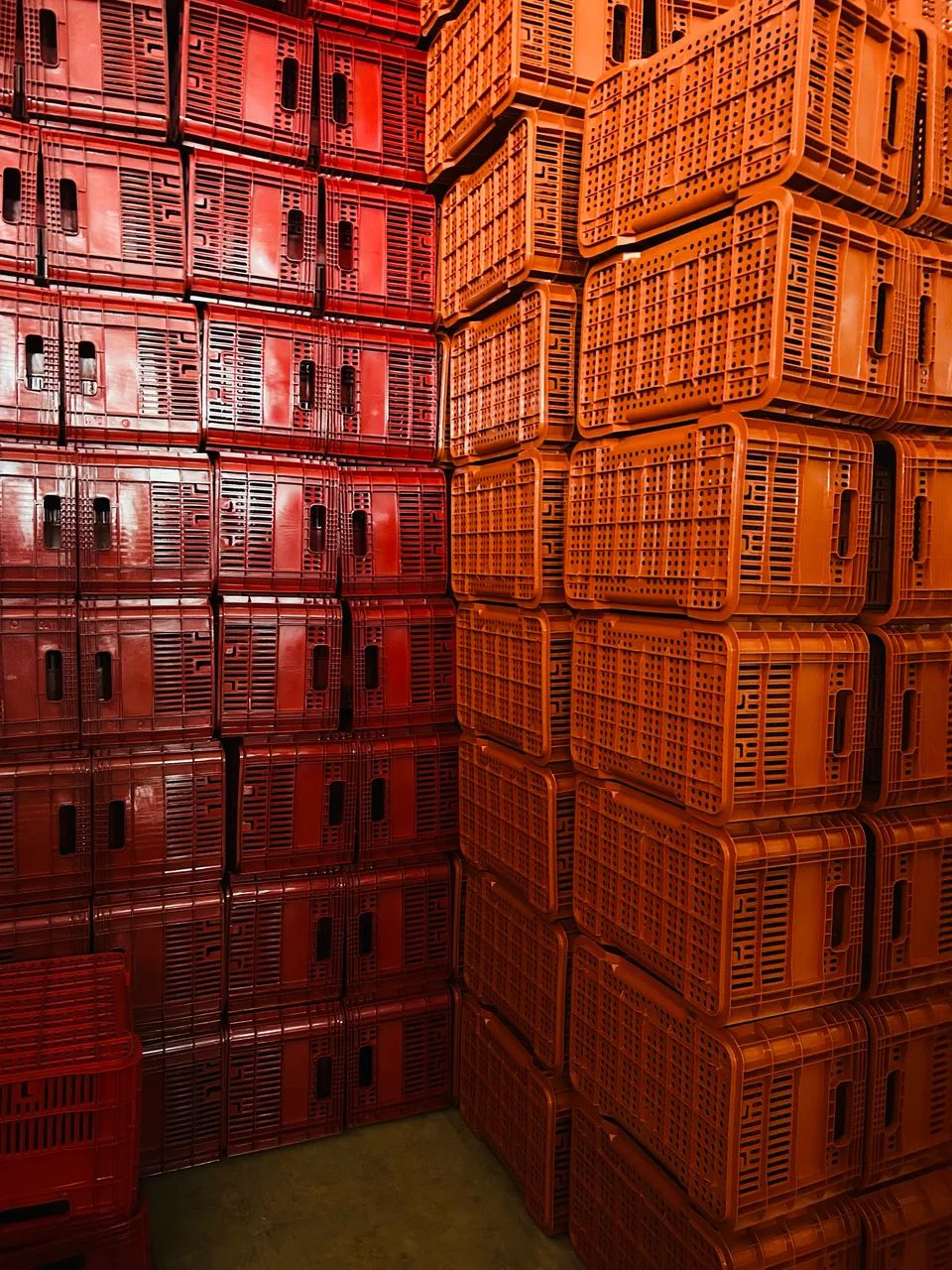 Caixas Plásticas Caixas Organizadoras Caixas hortifruti  - Foto 3