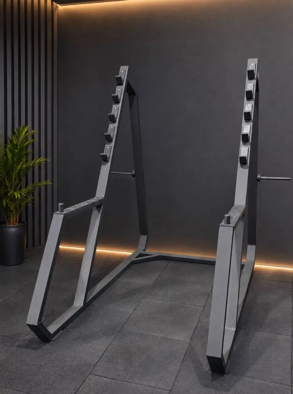 Rack Gaiola de Agachamento 