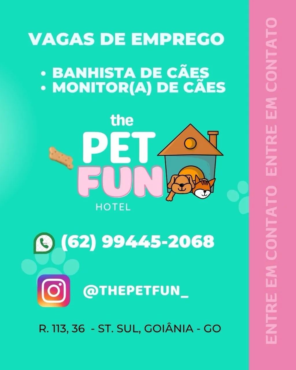 Vagas de Emprego 
