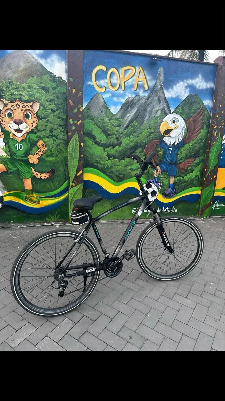 Bike soul 700