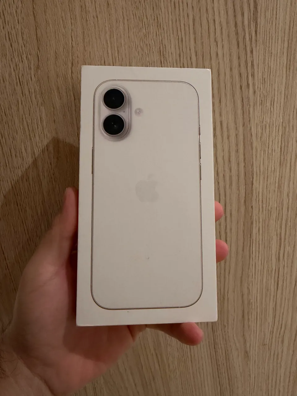 iPhone 16 256 GB - Celulares e Smartphones - Floresta, Joinville