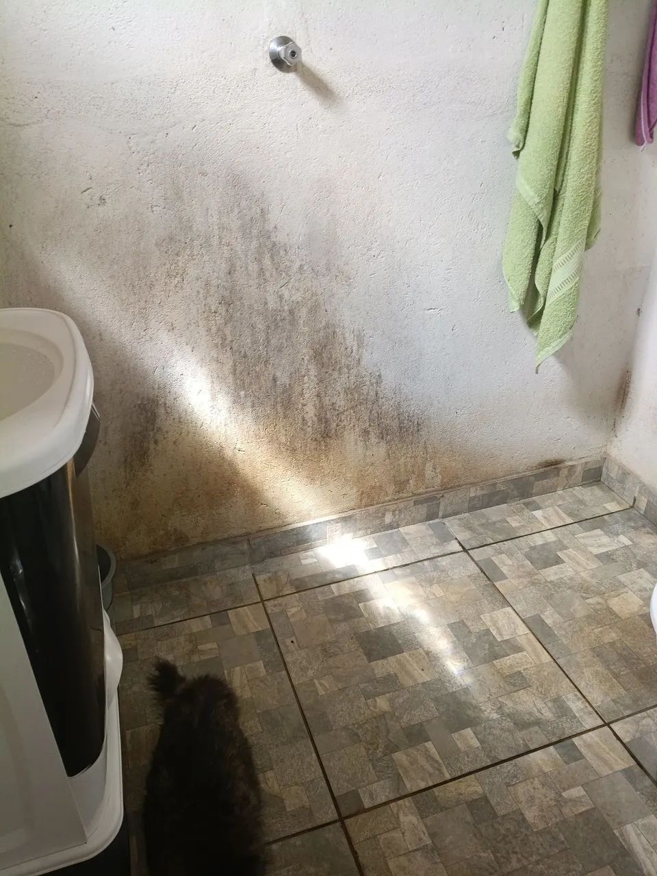 Vende se Barracão  - Foto 5