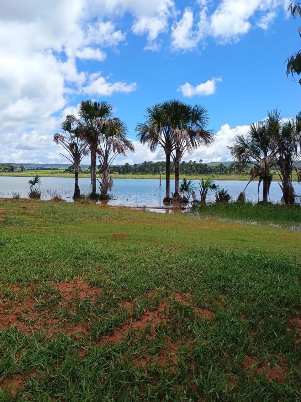 Chácara Lagoa Formosa - Planaltina Goiás  - Foto 2