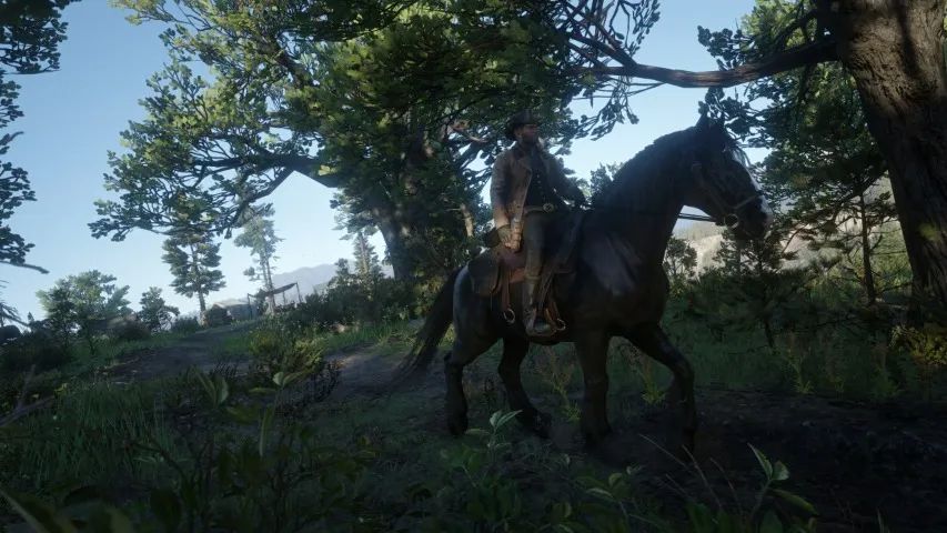 Red Dead Redemption 2 PS4 e PS5 (30 dias) - Foto 3