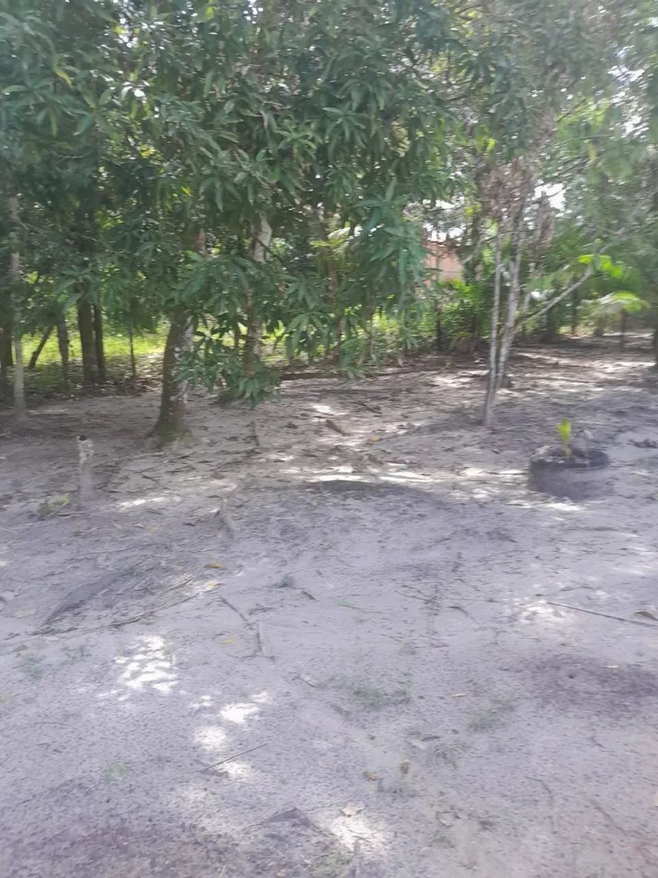 vsndo sitio - Foto 2