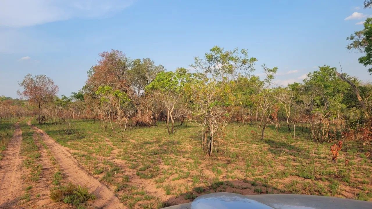 Grande Fazenda à Venda - Ideal para Agricultura e Pecuária - Foto 11