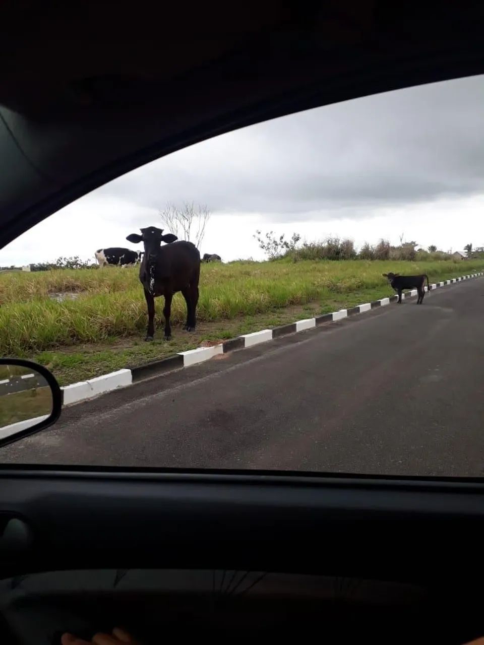 Casa condomínio Fazenda Real ( infraestrutura de fazenda completo) - Foto 4