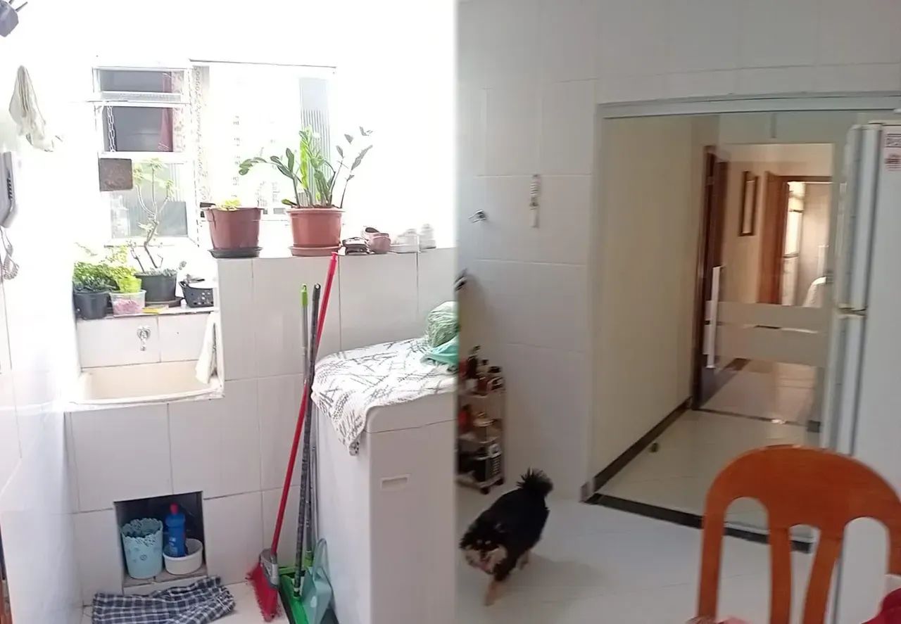 03 Quartos todo Montado - Foto 4