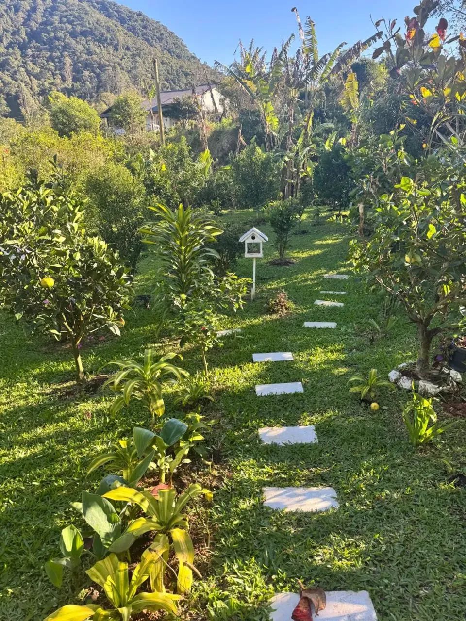 Bela chácara em Águas Mornas - SC - Foto 4