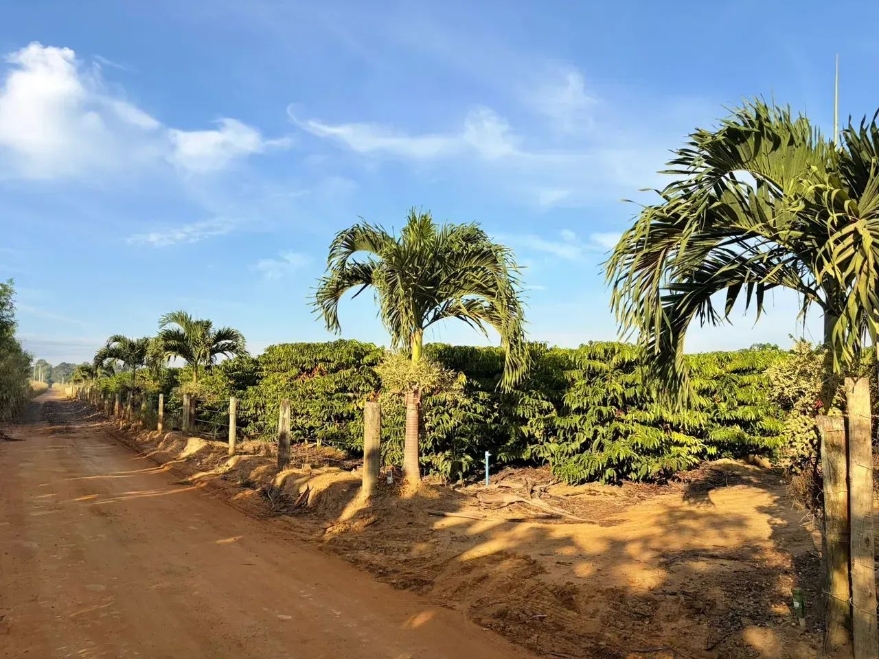 CHÁCARAS - 150 MIL: COM 1.500M², ENERGIA, ÁGUA E PORTÃO ELETRÔNICO.