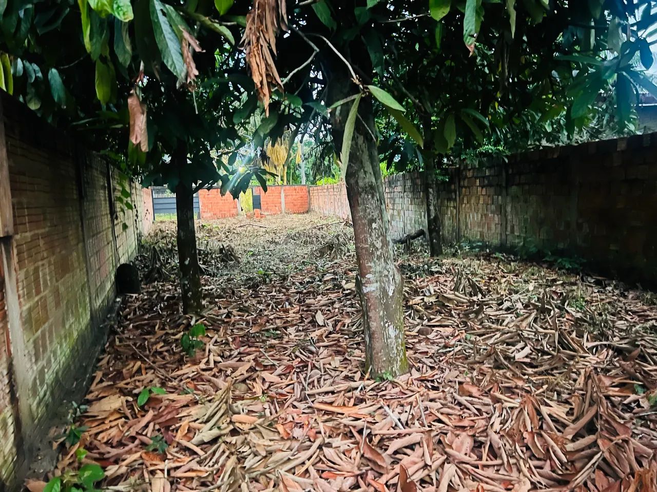 Vendo esse terreno 