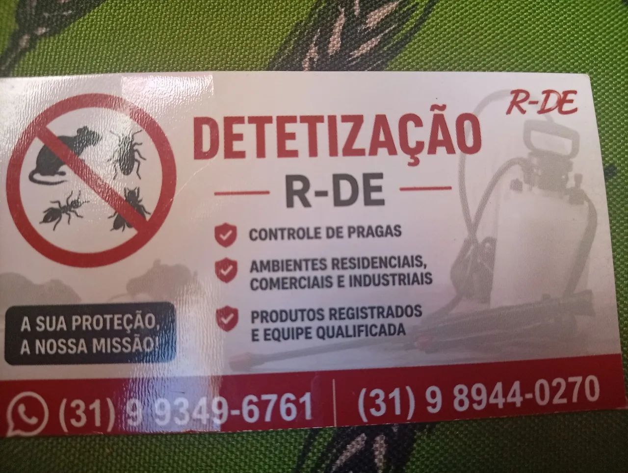 Detetizacao de inseto ? - Foto 2