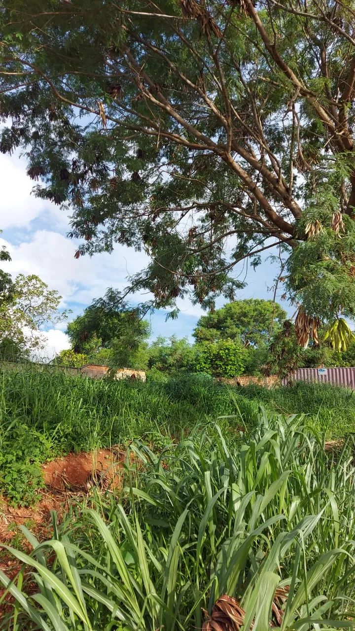 Lote - Setor Pontal Sul - Foto 4