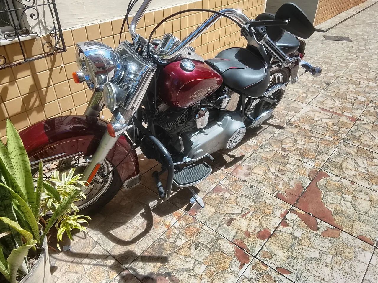 Haritage 2008 - Foto 5