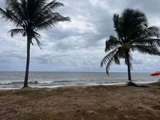 Terreno (lote) em Tamandaré - Foto 4