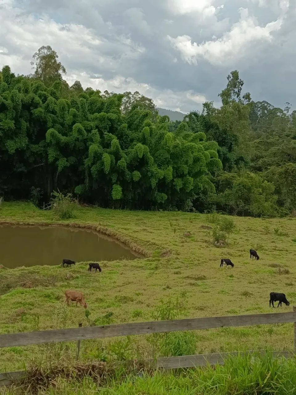 Fazendinha - Foto 5
