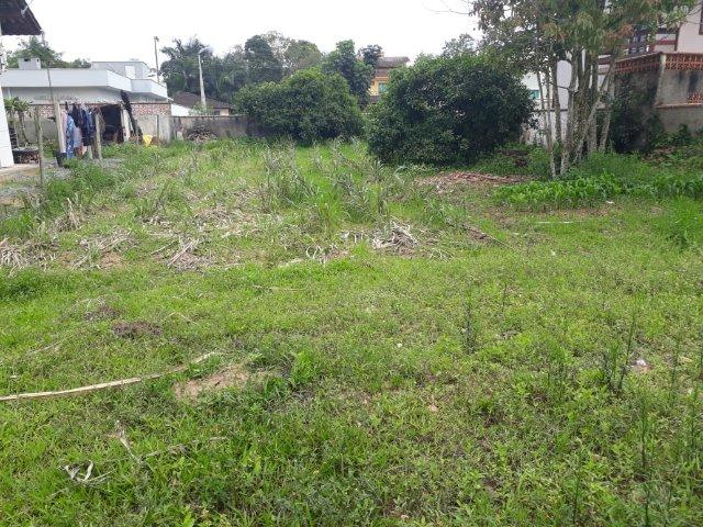 Terreno No Guamiranga - Foto 3