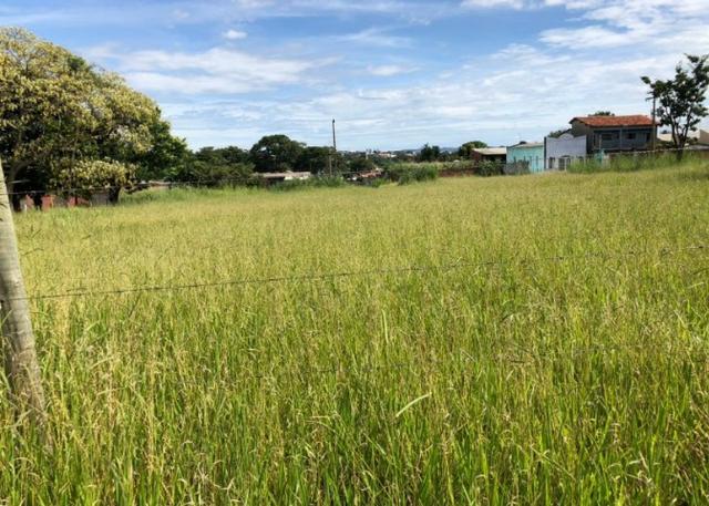 Areá na BR 060 saída para Brasilia Imobiliária Azevedo Gomes - Foto 8