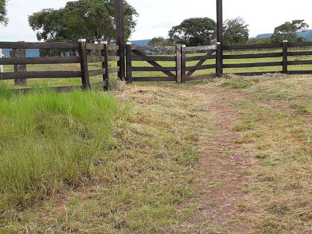 Sitio proximo de cuiabá a 105km, sentido Rondonópolis, Agrovila das palmeiras - Foto 3