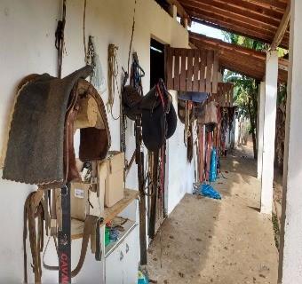 Sítio à venda em Via parafuso, Salvador cod:ST00001 - Foto 7