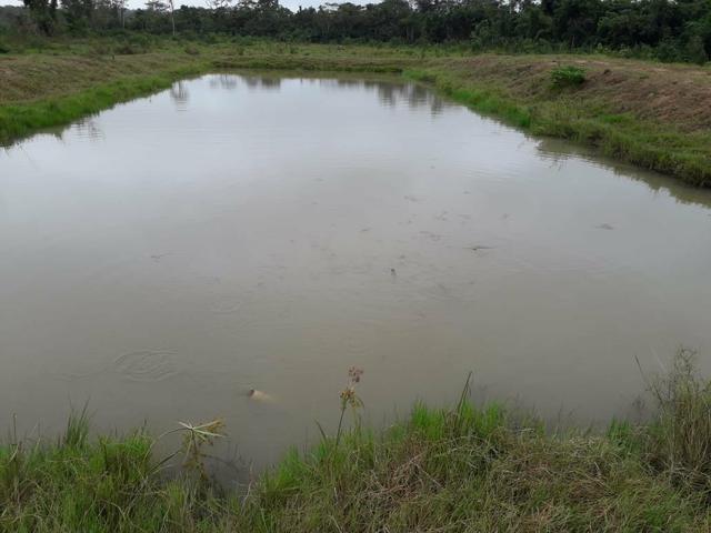 Sitio proximo de cuiabá a 105km, sentido Rondonópolis, Agrovila das palmeiras - Foto 4