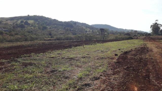 Chácara Venda Ibiporã Próximo Recanto do Engenho - Foto 4