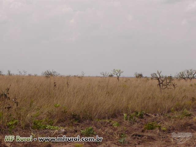 Linda Fazenda em Mato Grosso - em Conquista D´oeste - MT - Foto 10