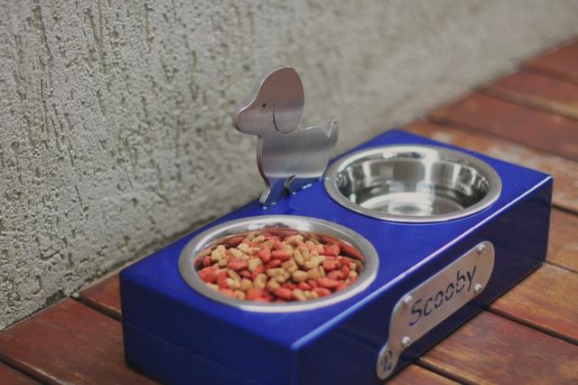 Comedouro para Cachorro