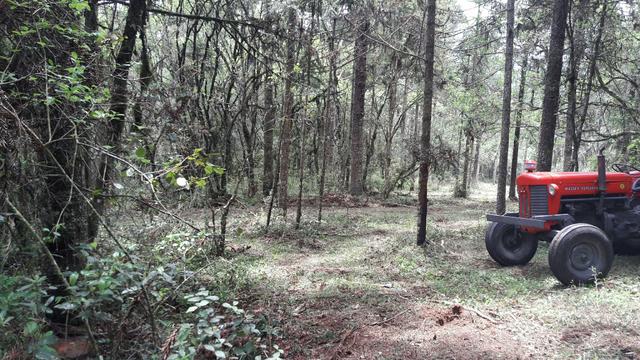 Permuta de terreno - Foto 2