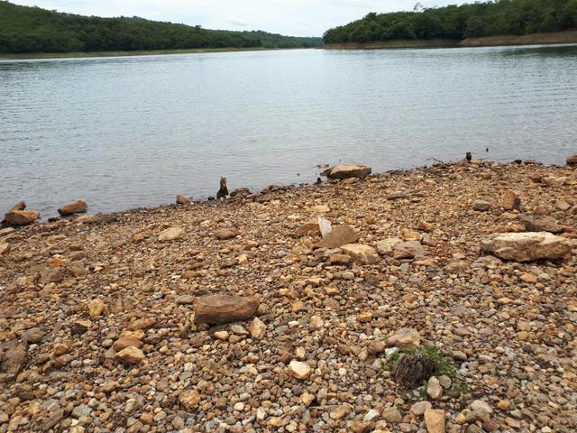 Canaã/lotes 1000 metros/Lago Corumbá IV - Foto 7