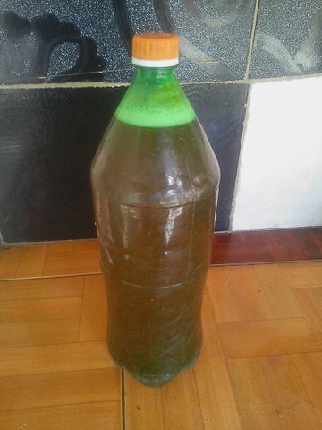 Vende - de mel da abelha original
