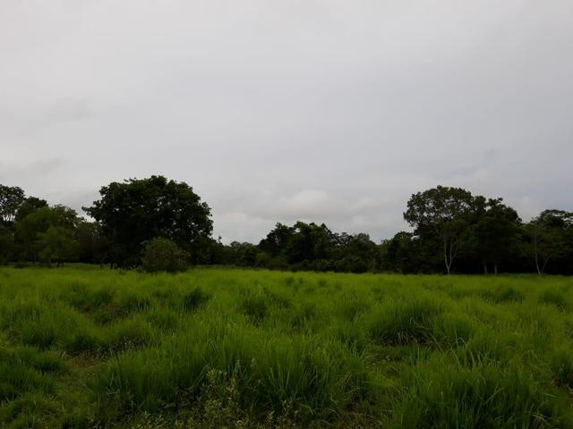 Permuta 100% em imóveis em Goiânia - Foto 2
