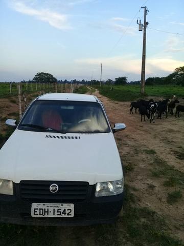Vende contato 94. * - Foto 14