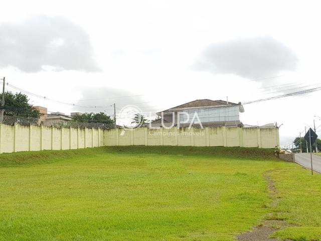 Terreno à venda com 0 dormitórios em Betel, Paulínia cod:TE000372 - Foto 2