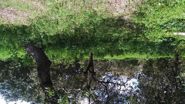 Fazenda em Itarema 386 hectares plantados de cajueiros,lagoa,poço,rio na extrema - Foto 12
