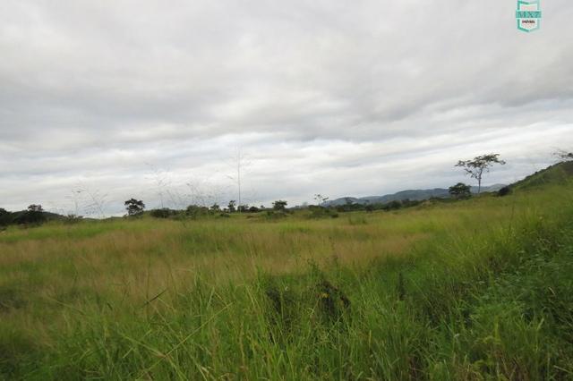 Gongogi - Fazenda pecuária de 655 Hectares toda formada - Foto 12