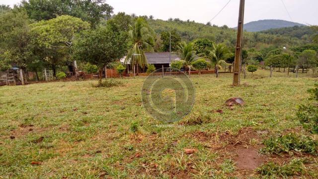Fazenda com 313 ha região da serra de são vicente - Foto 3