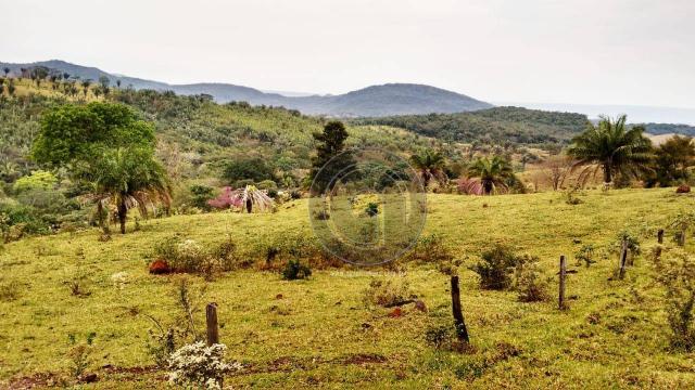 Fazenda com 313 ha região da serra de são vicente - Foto 12