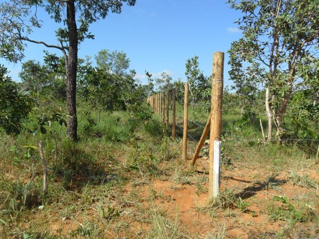 Terreno em três maria com nascente no fundo do terreno - Foto 6