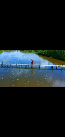 Filmagens e fotografias com drone - Foto 4