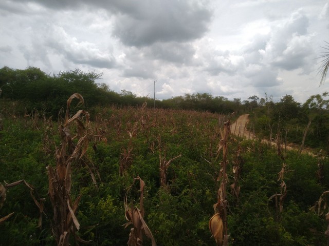 Terreno de 8700m² Zona Rural 